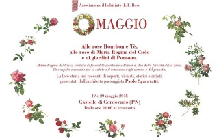 omaggio alle rose